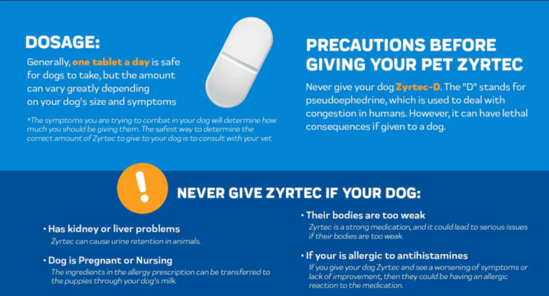 how-much-zyrtec-can-I-give-my-dog